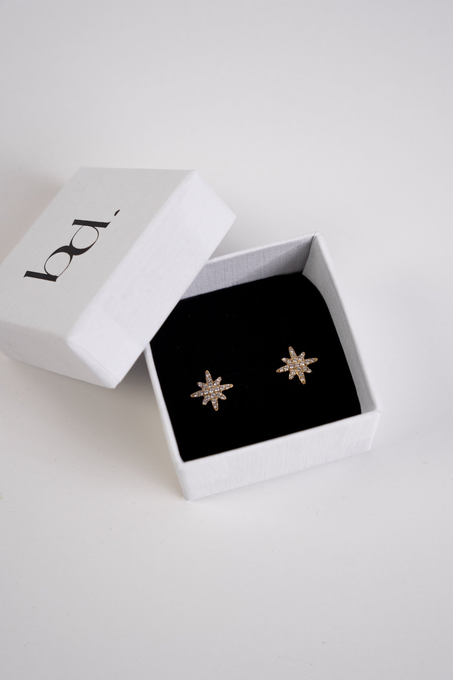 Astra - earrings