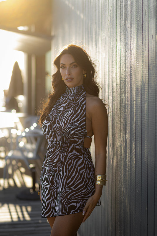 Island Escape - ZEBRA